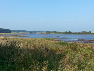 Natural reserve "Geltinger Birk"