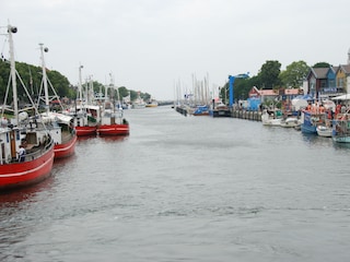 Holiday apartment Admannshagen Environment 17