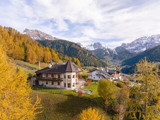golden autumn in La Rojula