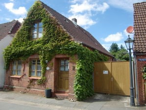 Holiday house Fischerhuus - Tönning - image1
