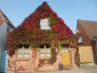 Holiday house Tönning Outdoor Recording 8