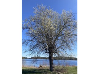 Casa per le vacanze Järnforsen Registrazione all'aperto 8