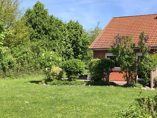 Blick auf die Terrasse