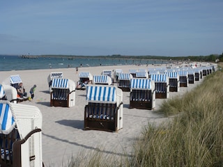 flacher 4 Kilometer breiter Sandstrand