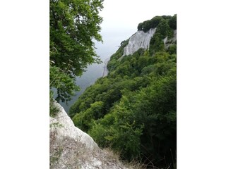 Kreidefelsen auf Rügen