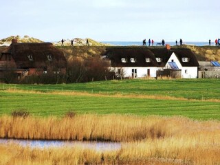 Ferienwohnung St. Peter-Ording Umgebung 38