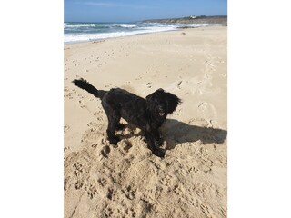 am Strand mit Lotte