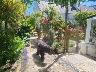 Ferienhaus Maison Dodo Urlaub mit Hund in der Bretagne