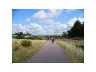 Appartamento per vacanze Petten Caratteristiche 28