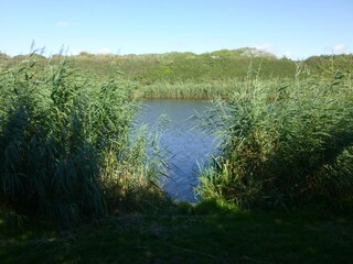 Appartamento per vacanze Petten Caratteristiche 15