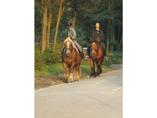 Appartamento per vacanze Zoutelande Ambiente 21