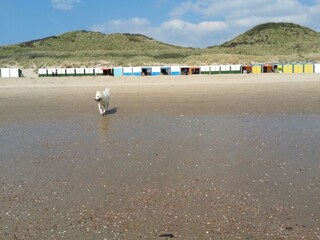 Appartamento per vacanze Zoutelande Ambiente 17