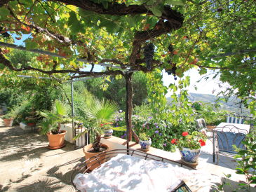 Finca Marico