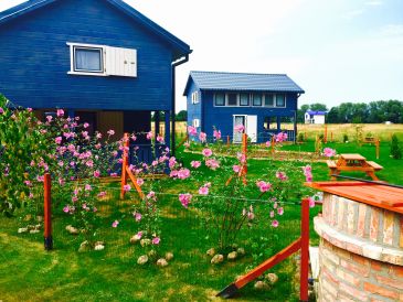 Holiday house house blue