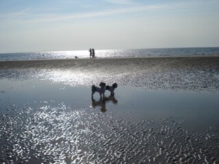 Apartamento de vacaciones St. Peter-Ording Entorno 34