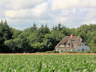 Einmalig ruhige Lage mit weitem Blick - "Urlaub pur"