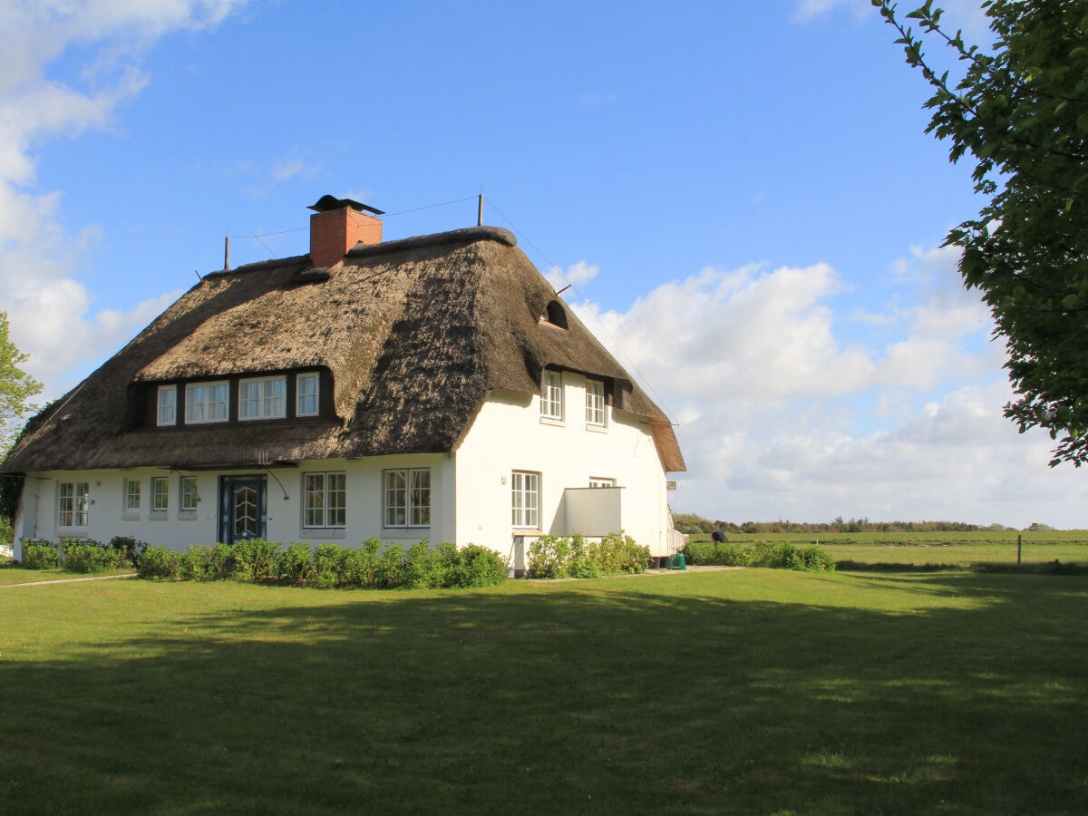 Blick vom Westerheideweg auf die rechte Haushälfte