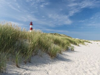 Vakantieappartement Wenningstedt Omgeving 11