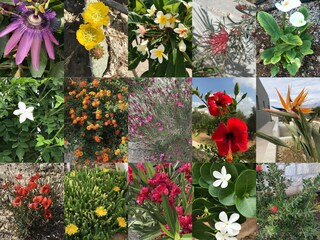 Casa per le vacanze Kamilari Registrazione all'aperto 18