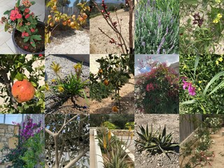 Casa per le vacanze Kamilari Registrazione all'aperto 19