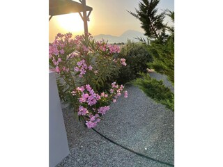 Casa per le vacanze Kamilari Registrazione all'aperto 15