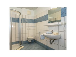 Appartamento Wagrain Caratteristiche 23