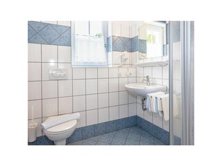 Appartamento Wagrain Caratteristiche 20