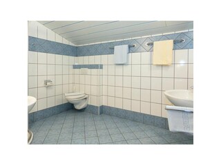 Appartamento Wagrain Caratteristiche 30