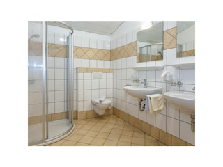 Apartment Wagrain Features 35