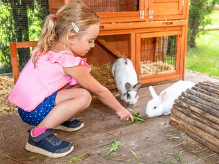 Appartamento Wagrain Registrazione all'aperto 10