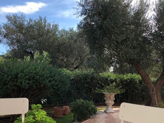 Casa per le vacanze Manduria Registrazione all'aperto 17