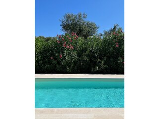 Am Pool