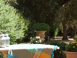 Casa per le vacanze Manduria Registrazione all'aperto 13