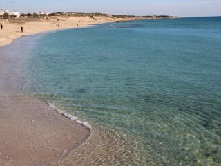 Maison de vacances Manduria Environnement 38