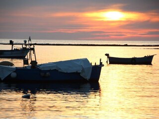 Casa per le vacanze Manduria Ambiente 39