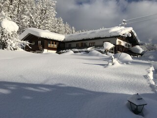 Im Tiefschnee versunken