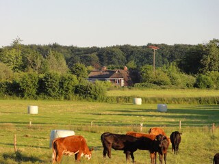 Holiday apartment Gelting Outdoor Recording 9
