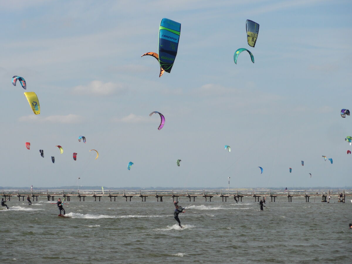 Ferienwohnung Bambuswald, Gelting, Firma Ferienhof Geltinger Bucht