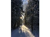 tolle Winterwanderwege rund um Bad Kohlgrub