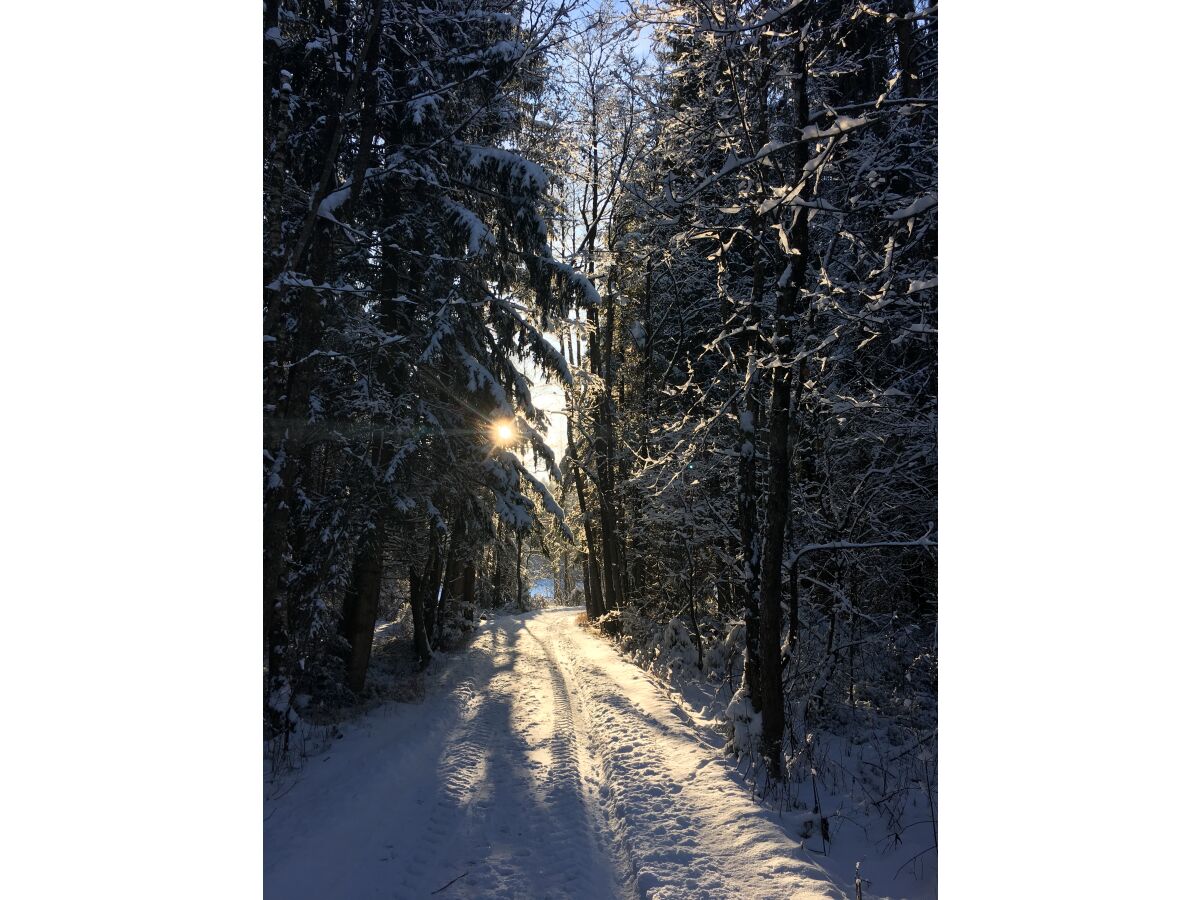 tolle Winterwanderwege rund um Bad Kohlgrub