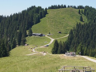 Die Almhütte auf dem Hörnle ist ein Ausflug wert.