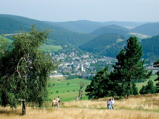 Willingen / Sauerland