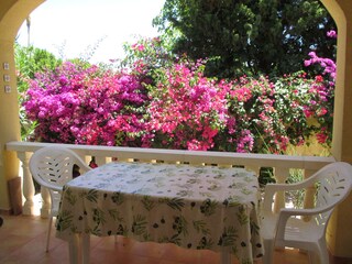 Casa per le vacanze Vinaros Registrazione all'aperto 2