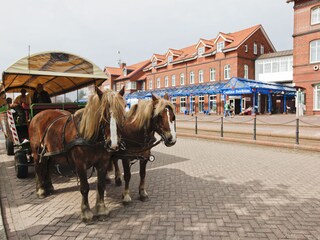Appartamento per vacanze Borkum Ambiente 24