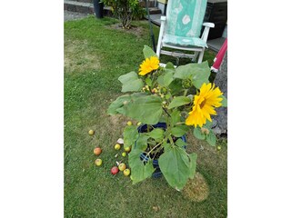 Ferienwohnung Hilders Außenaufnahme 11