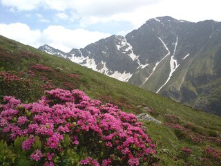 Appartamento per vacanze St. Jakob in Defereggen Ambiente 22