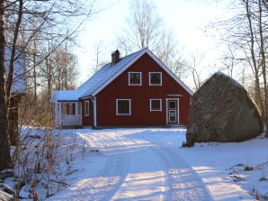 Ferienhaus Hjortnabben am See - Kyrkhult - image1