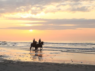 Ferienhaus Nes Umgebung 26