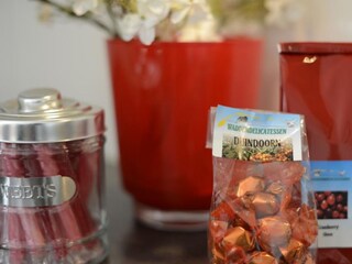 Casa per le vacanze Nes Caratteristiche 15