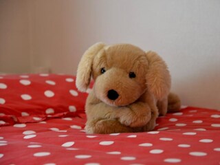 Casa per le vacanze Nes Caratteristiche 10